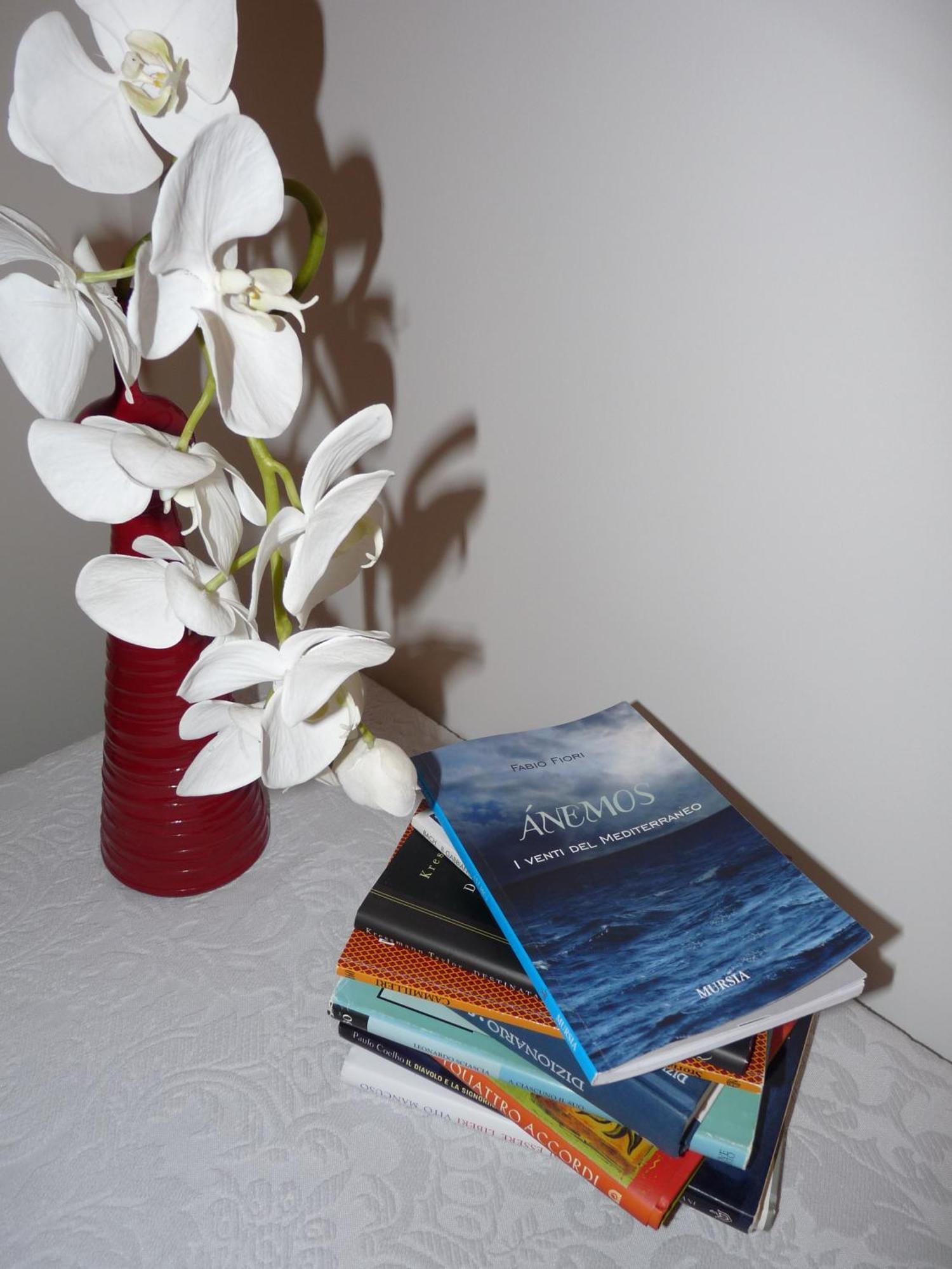 Anemos B&B Termoli Dış mekan fotoğraf